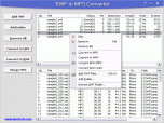 Delphi SWF SDK