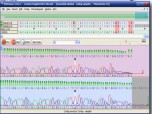 DNA Sequence Assembler