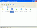 HidesFiles Screenshot