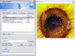 Amic Video Converter Screenshot