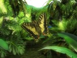 Butterfly Jungle 3D Screensaver Screenshot