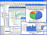 Network Troubleshooting Analyzer CAPSA