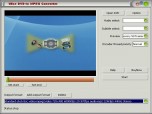 Wise DVD to AVI Converter Screenshot