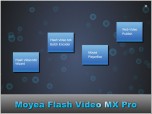 Moyea Flash Video MX Pro Screenshot