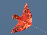 Free Kite Screensaver Screenshot