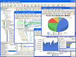 Network Traffic Monitor Analysis Report Screenshot
