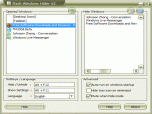 Flash Windows Hider Screenshot