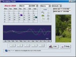 Biorhythms Guide