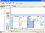 TotalQuery Screenshot