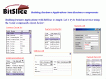 BitSlice Screenshot