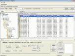 Winsome File Renamer Screenshot