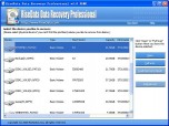 RiseData Data Recovery Professional Screenshot