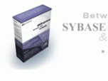 VISOCO BDP.NET for Sybase ASE