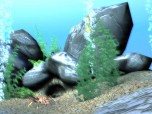 Free 3D Marine Screensaver Screenshot