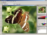 Active Photo Editor