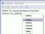 tinySpell Screenshot