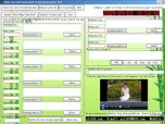 Maple Leaf timing multi-media player system