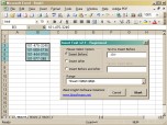 Insert Text for Excel