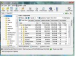 ShowSize Disk Space Analyzer