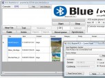 BlueInfo lite