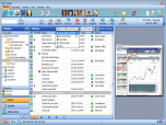 EverDesk Optima Screenshot