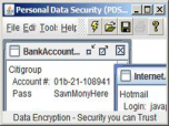 Professional Data Security (PDS)