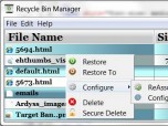 Recycle Bin Manager Screenshot