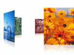 Flash Slideshow 3D Carousel V2 Screenshot