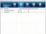 AnyBizSoft PDF Converter