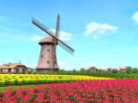 Free 3D Windmill Screensaver Screenshot