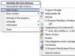 WinHide.SB Screenshot