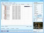 DDVideo DVD to PSP Converter Gain