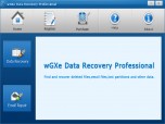 wGXe Data Recovery Professional