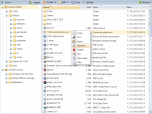 Fly Web File Manager