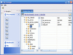 File Arranger Screenshot