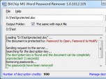 BitChip MS Word Password Remover Screenshot