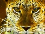 Wild Felines Screensaver