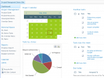 Project Management for MS SharePoint