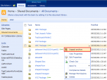 Virto SharePoint Bulk File Unzip Utility Screenshot