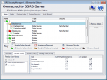 SSRS Security Manager Screenshot