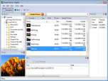 MegFile Screenshot