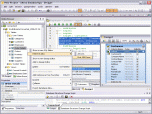 Altova DatabaseSpy Professional Edition Screenshot