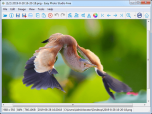 Easy Photo Studio FREE for Windows Screenshot